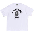 PIXAL COLLEGE RELAXED FIT TEE MENS